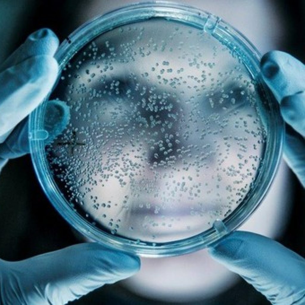NNF, Center for Stem Cell Biology, Danstem, petriskål mellem to hænder med gummihandsker på, ansigt i baggrunden