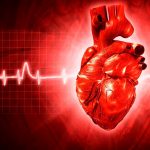 Hjerte og kardiogram, rødt på rød baggrund, CARDIOLOGY