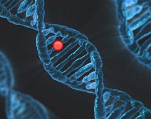 CAG Accelerating Clinical Integration of Cell and Gene Therapies (ATMP)