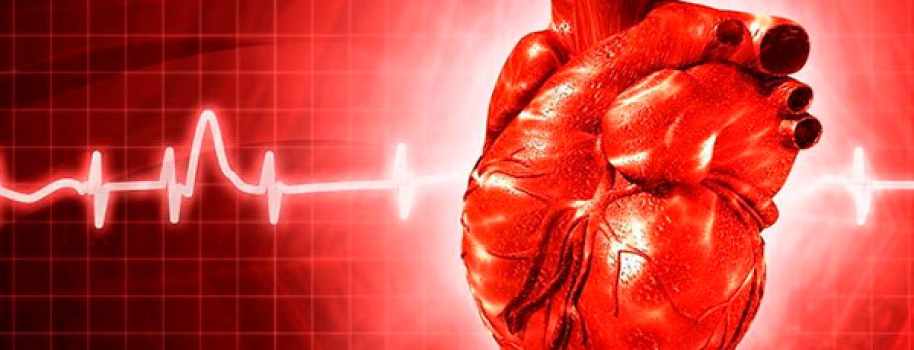 Kunstig intelligens forudsiger den enkelte hjertepatients chance for at overleve